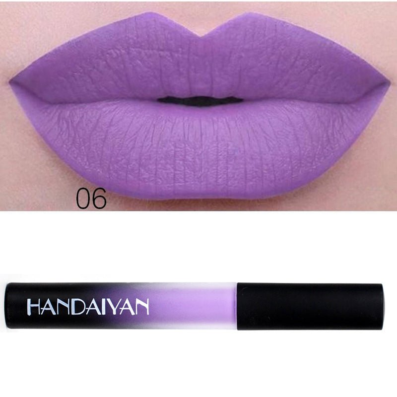 Charm color matte Velvet Matte Lip gloss lip matte glaze with matte lipstick liquid lasting authorization - DunbiBeauty, LLC
