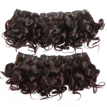 Curly Human Hair Bundles 100% Human Hair Bundles Brazilian Hair Weave Bundles 6 Pcs/Lot Color 1B/2/4/30/33/99J Curly Hair