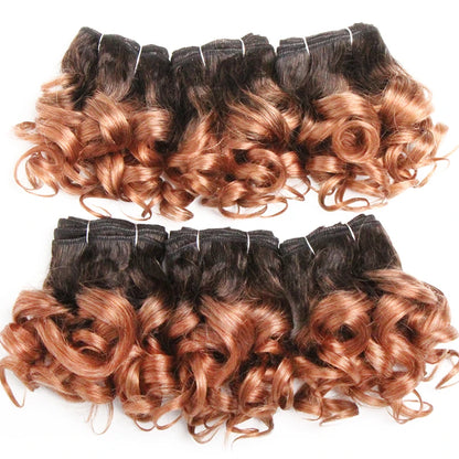 Curly Human Hair Bundles 100% Human Hair Bundles Brazilian Hair Weave Bundles 6 Pcs/Lot Color 1B/2/4/30/33/99J Curly Hair