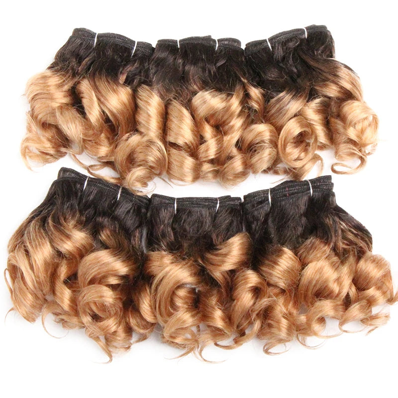 Curly Human Hair Bundles 100% Human Hair Bundles Brazilian Hair Weave Bundles 6 Pcs/Lot Color 1B/2/4/30/33/99J Curly Hair