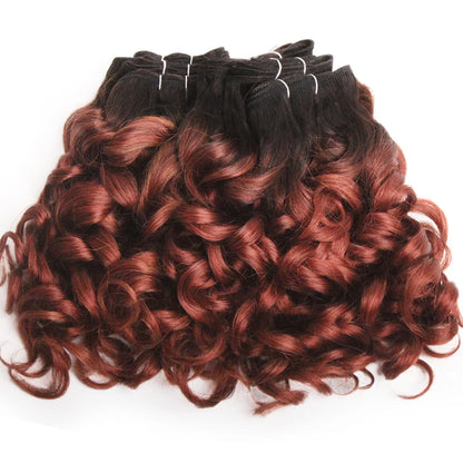 Curly Human Hair Bundles 100% Human Hair Bundles Brazilian Hair Weave Bundles 6 Pcs/Lot Color 1B/2/4/30/33/99J Curly Hair